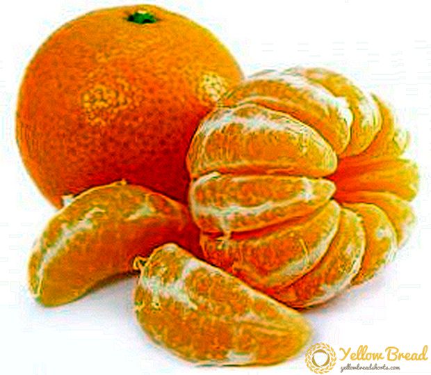 Mandarin sygdomme og hvordan man kan overvinde dem