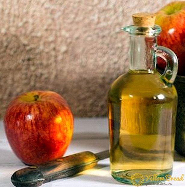 چگونه می توان سیب سیب را در خانه بکارید