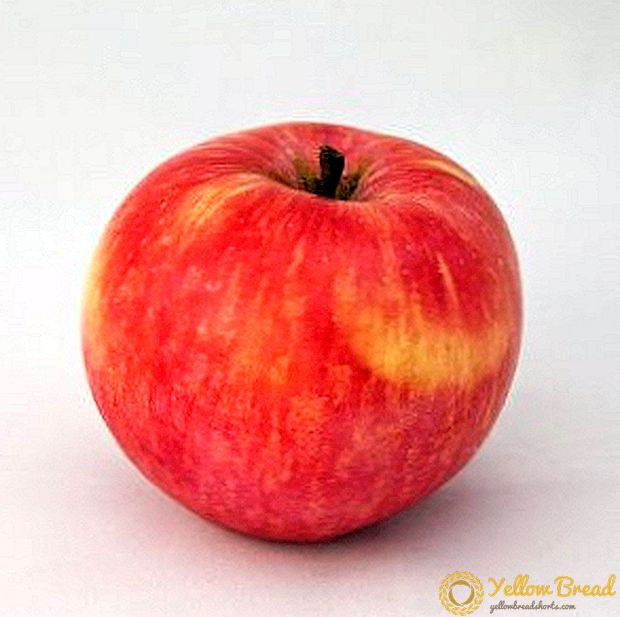 Cara kanggo tuwuh varieties apel Bungah ing kebon
