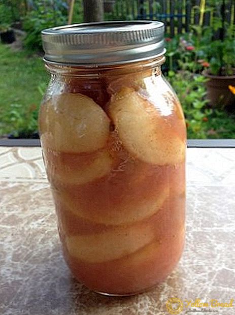 冬のためのリンゴのブランクのレシピ