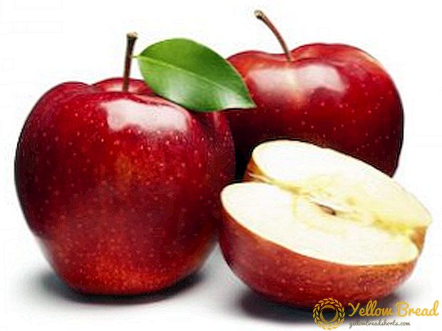 De beste oppskrifter for høsting av epler til vinteren