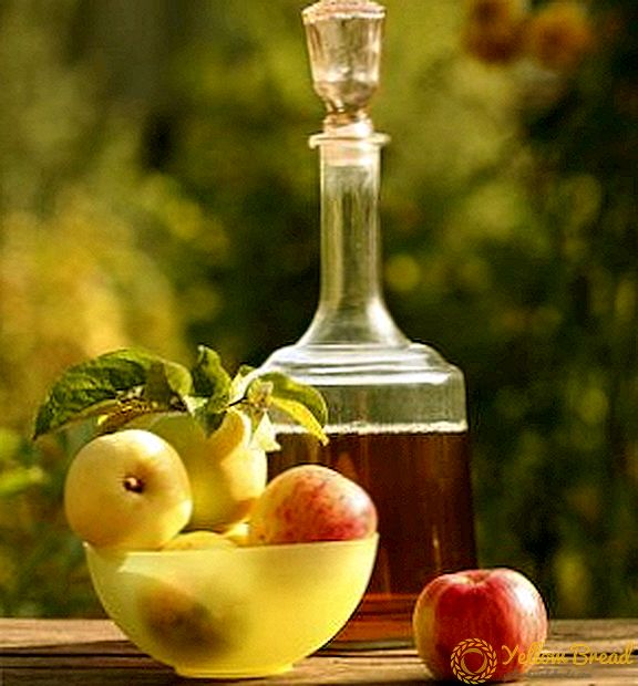 Kako napraviti jabuko vino: recept za kuvanje kod kuće