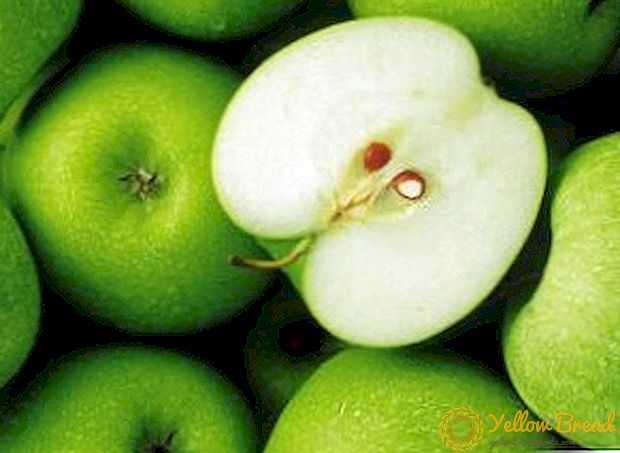 Vad är användbara äpplen: användning och kontraindikationer