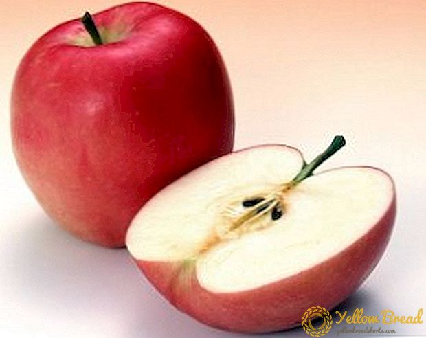 מה הם היתרונות ואת הפגיעה של תפוחים