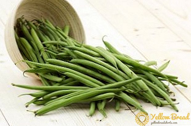 Kung paano lumaki ang asparagus beans sa bansa