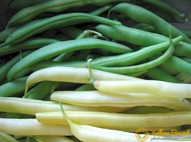 Kacang buncis asparagus (jeneng lan foto)