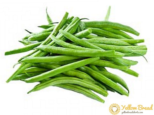 どのような体のための有用なアスパラガス豆ですか？