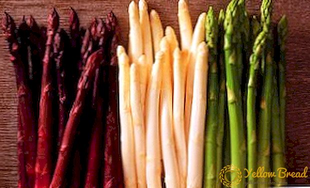 Nyttige egenskaper til asparges: bruk og kontraindikasjoner