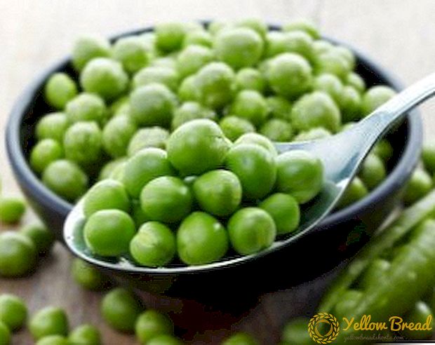 The best recipes for green peas for winter at home