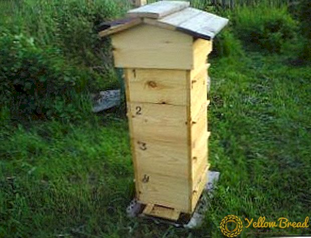 Kenmerken van de inhoud van bijen en onafhankelijke productie van de Varre-bijenkorf