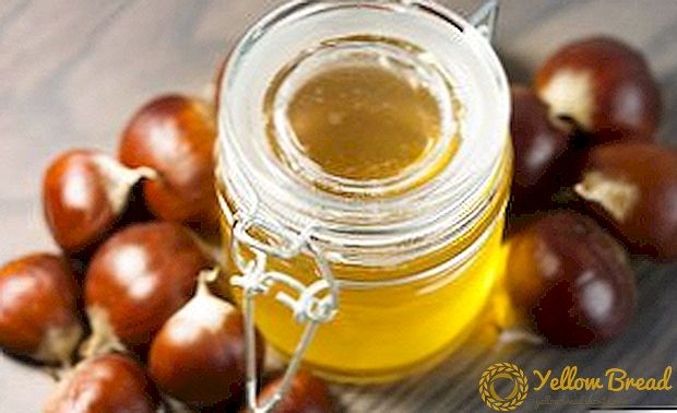 Μέλι κάστανο: τι είναι χρήσιμο, χημική σύνθεση και αντενδείξεις