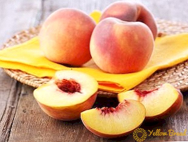 Popular Peach fjölbreytni: lýsingar, umönnun ábendingar