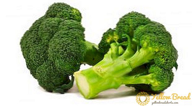 Matlagning och skörd av broccoli