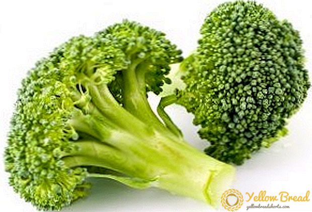 Die gewildste broccoli-variëteite