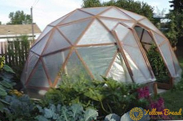 Do-it-yourself dome greenhouse is a suitable solution for lovers of original ideas