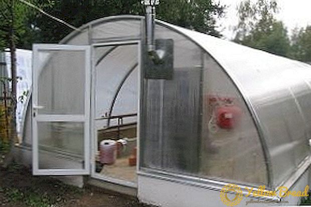 How to heat a greenhouse in winter: heating systems and heaters, projects, photos. Wood stove with their own hands