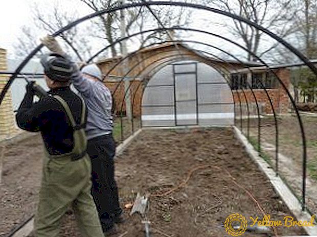 How to make a greenhouse with your own hands from rebar: requirements for materials and structures