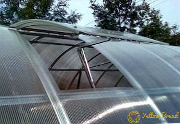 Miten tehdä polykarbonaatti-ikkunanlehti kasvihuoneeseen omilla käsillänne? Samoin kuin muut majoitusvaihtoehdot tuuletusaukot