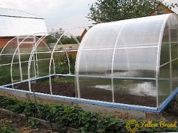 Rekomendasi kanggo pambangunan greenhouses digawe saka PVC pipes (polyvinyl chloride): pigura, gambar, foto