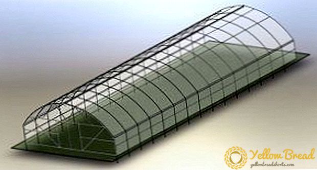 Reliable and practical - tunnel-type greenhouse: carane nggawe nganggo tangan dhewe ing plot plot gambar