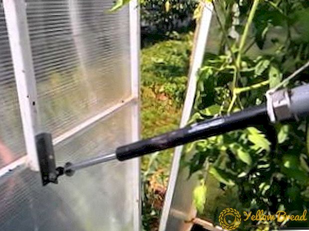 Varietas drive panas kanggo greenhouses: prinsip operasi (ventilasi lan ventilasi), nggawe dhewe tangan, patemon