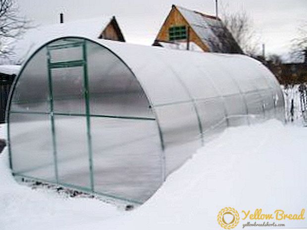 Направете зимска стаклена градина од поликарбонат со греење со свои раце: нијанси за изградба и греење