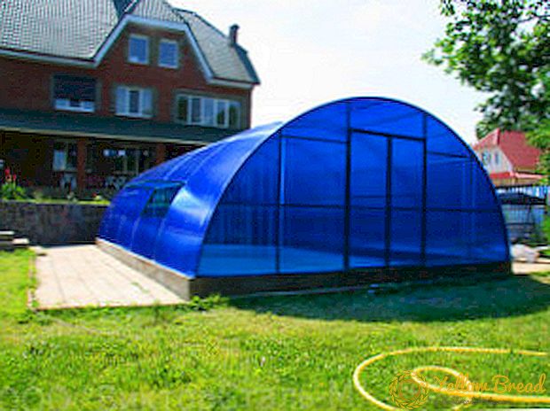 Göra en pool i ett växthus gjord av polykarbonat med egna händer: Speciellt konstruktion och drift av baldakin