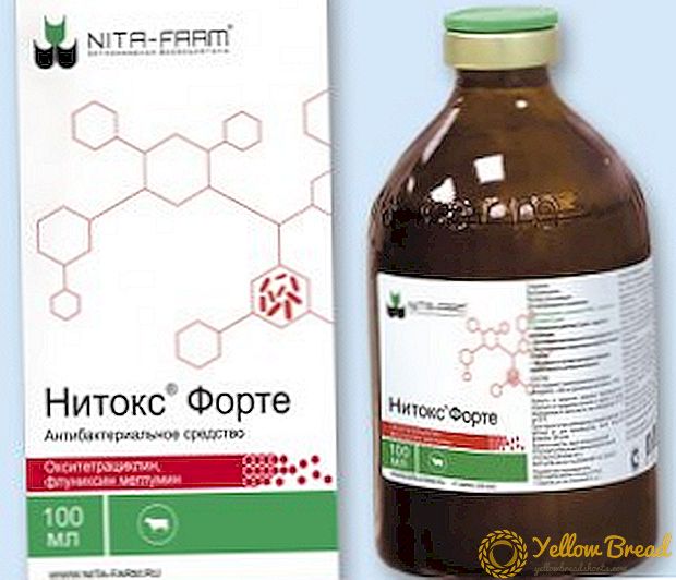 «Nitoks Forte» - դեղերի օգտագործման եւ դեղաբանական հատկությունների ցուցումներ