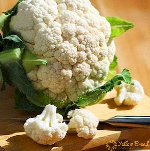 How to prepare cauliflower for the winter