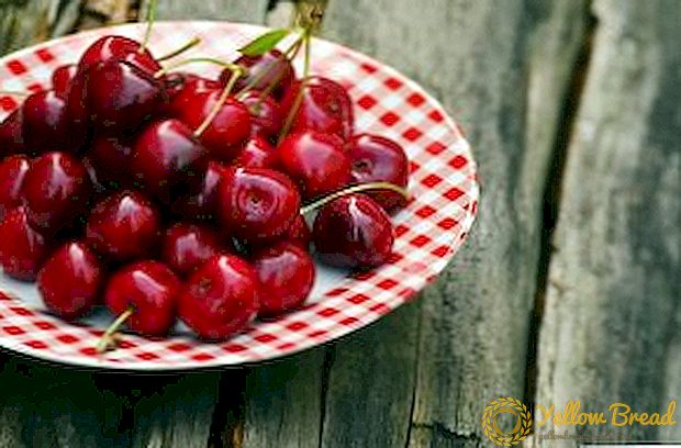 Beskrivning och foto av stora fruktiga sorter av körsbär