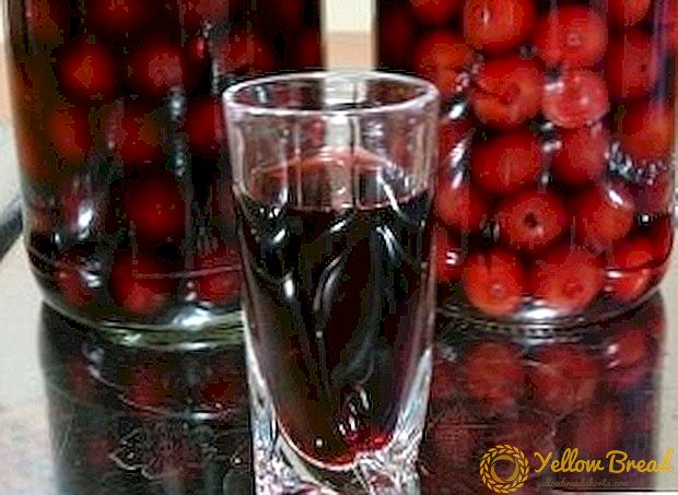 Siri za kufanya liqueurs cherry nyumbani