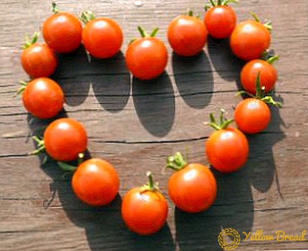 Ang pinakamahusay na varieties ng cherry tomatoes