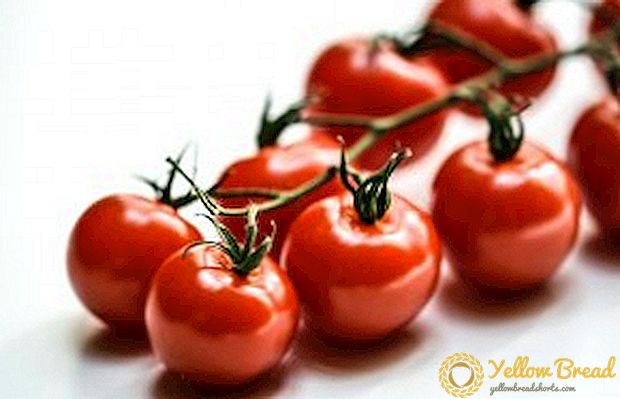 Kiraz domatesleri nasıl faydalıdır?
