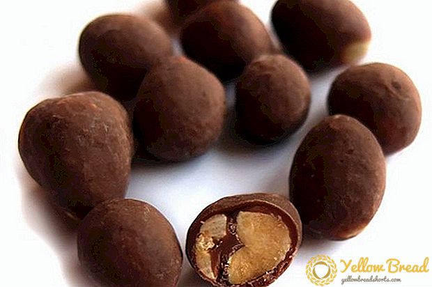 Poltava chocolate turned out to be completely 