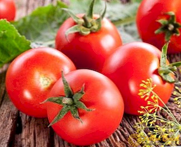 Tomato adalah buah beri, buah atau sayuran, kami memahami kekeliruan.
