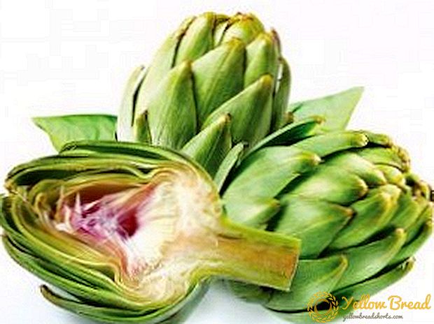 Artichoke: what it is and its application