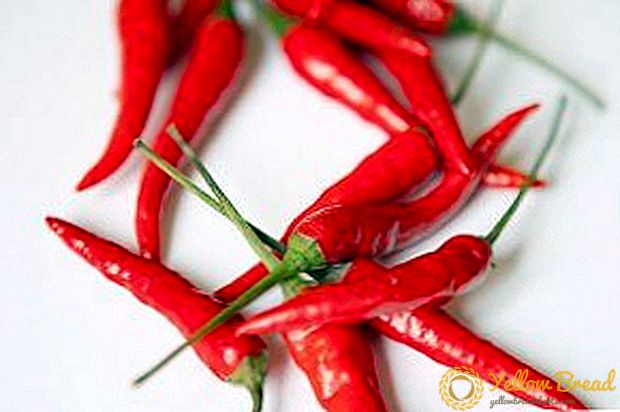 De voordelen en nadelen van rode peper: geneeskrachtige eigenschappen van smaakmakers