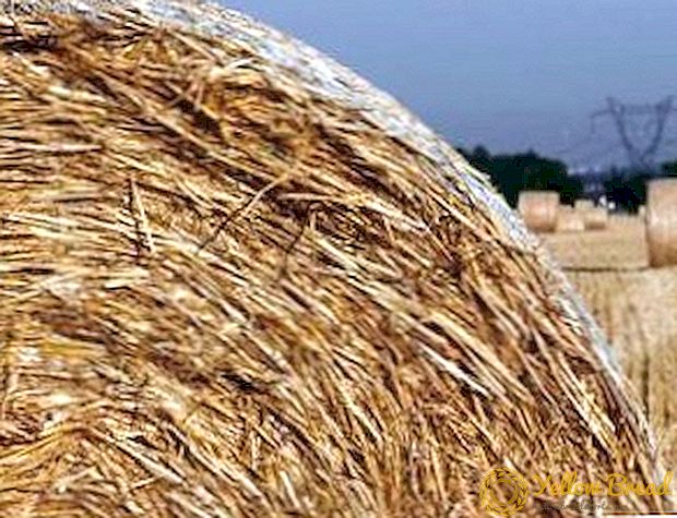 Features of using straw as a fertilizer