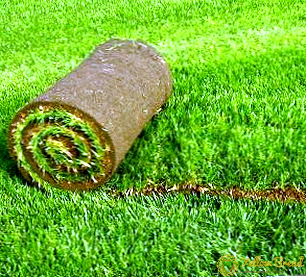 Трева за тревник, изместување на плевелите. Мит или реалност?