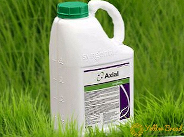 Aksiyal herbisid: aktiv tərkib, təlimat, istehlak dərəcəsi