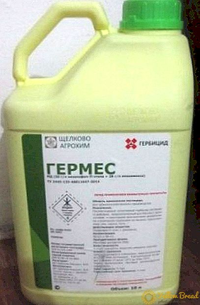 Hermes herbicide: mga katangian, mga tagubilin, pagkonsumo, pagkakatugma