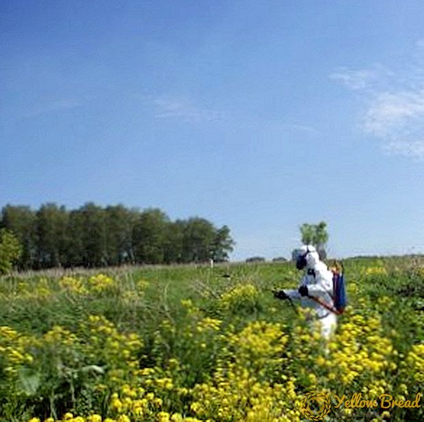 Weedless herbicider för avlägsnande av gräs