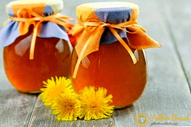 Honey mula sa dandelions sa kanilang sariling mga kamay, ang nakapagpapagaling na mga katangian ng produkto