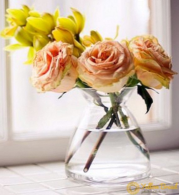 كيفية حفظ الورود في مزهرية أطول: 9 نصائح عملية