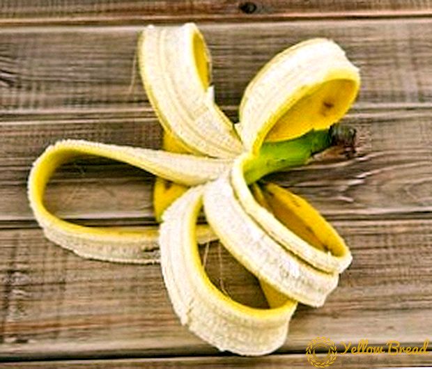 Банан қабығы тыңайтқышын қалай жасауға болады