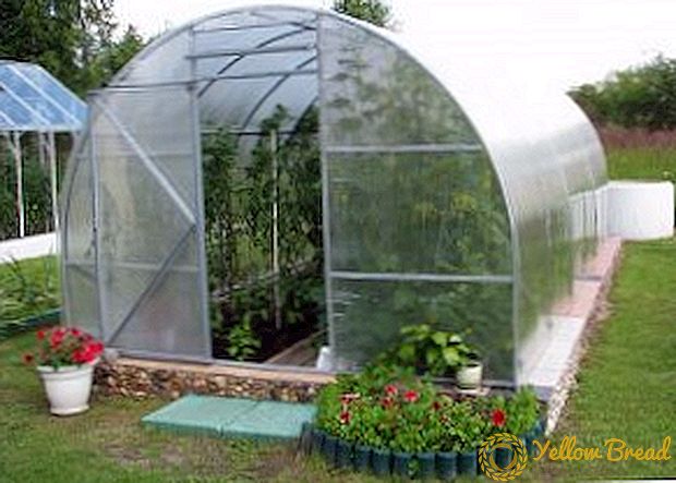 Како да се третираат собата и почвата на стаклена градина по зимата од штетници и болести