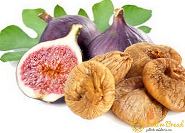 দরকারী figs কি: দরকারী বৈশিষ্ট্য এবং contraindications কি