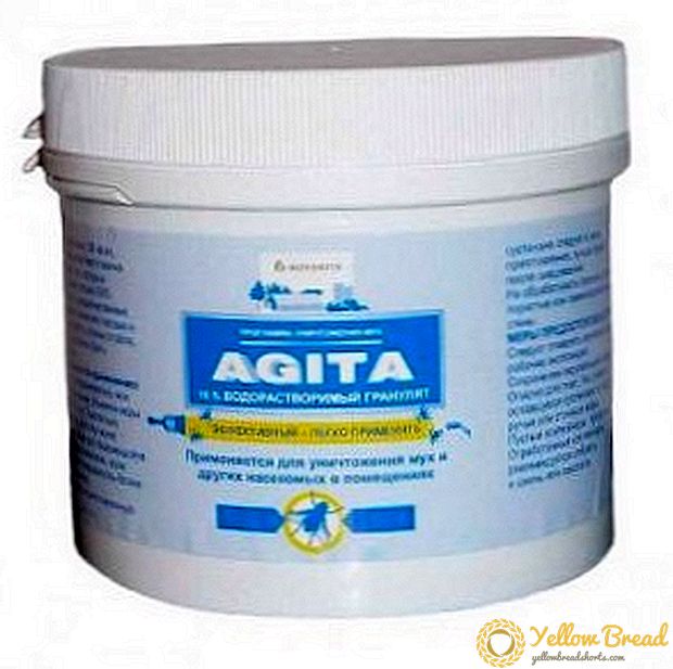 Agita insecticide for flies: instructions