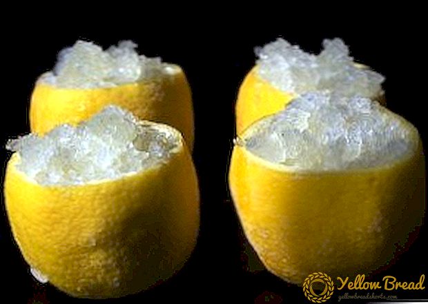 冷凍庫でレモンを凍結することは可能ですか？
