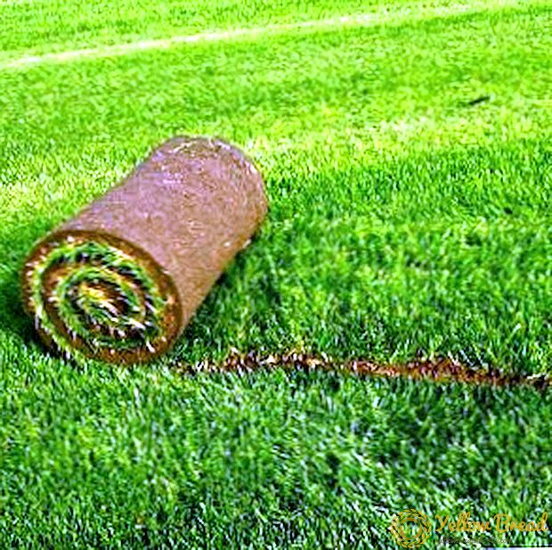 Технологија за полнење на тревник
